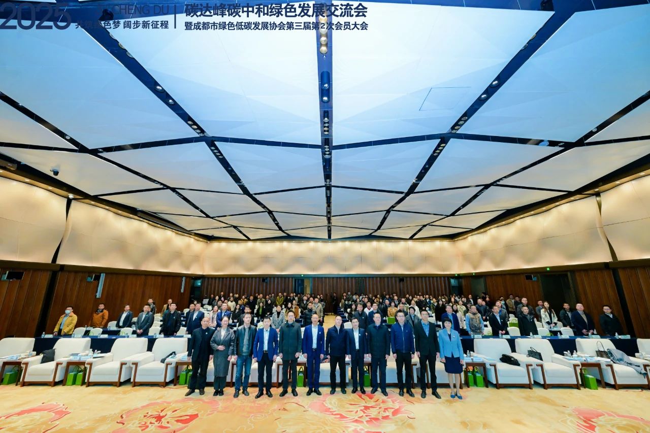 1744337497314992.jpg 06.jpg